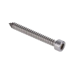Nerezová skrutka 6.3x50, imbus, AISI304